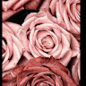 Meet your Posher, Desire'